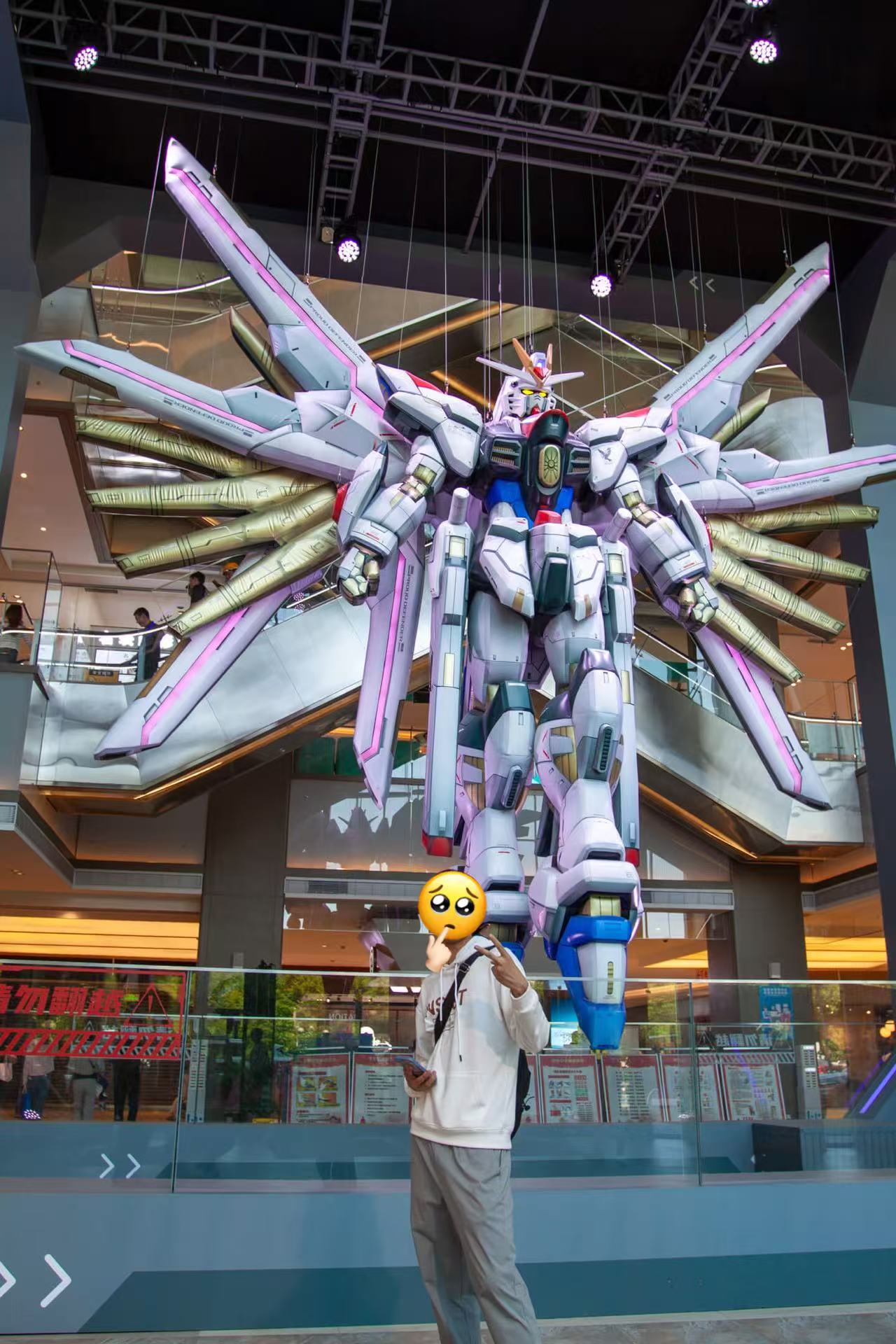 Yuxi with Mighty Strike Freedom Gundam